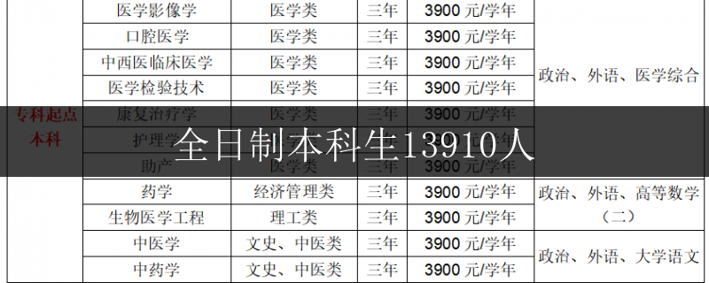 都安縣高1全日制機構(gòu)排名