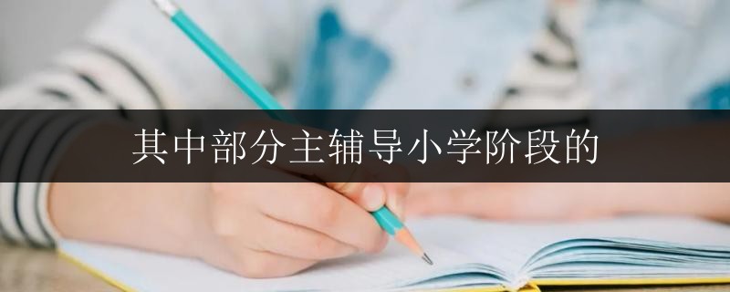 其中部分主輔導小學階段的