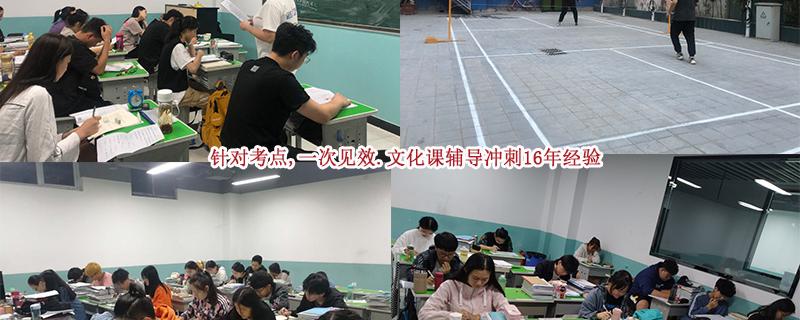 再輔以藝考生***復(fù)習(xí)專用書籍《藝考生***高分沖刺》