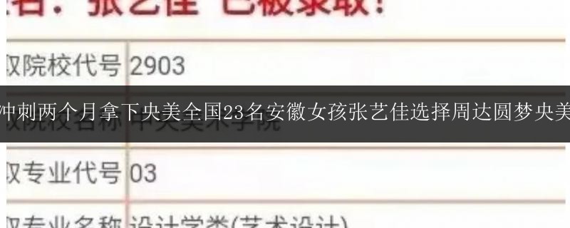 沖刺兩個(gè)月拿下央美全國(guó)23名安徽女孩張藝佳選擇周達(dá)圓夢(mèng)央美