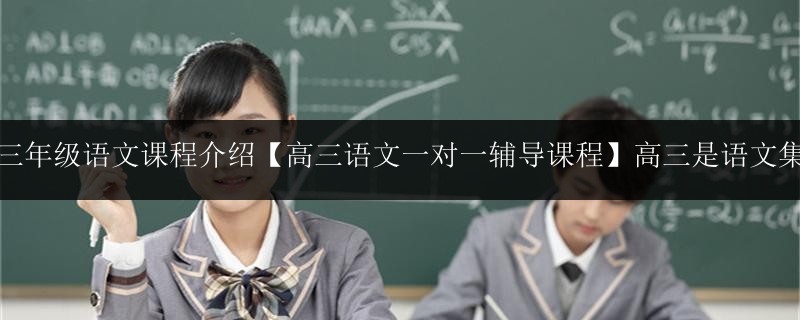 高中三年級(jí)語文課程介紹【高三語文一對(duì)一輔導(dǎo)課程】高三是語文集大成